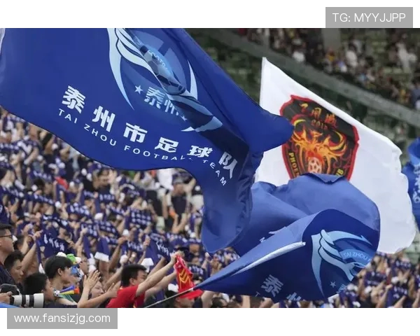 徐兵回应泰州队争议:阵容完全符合苏超规则