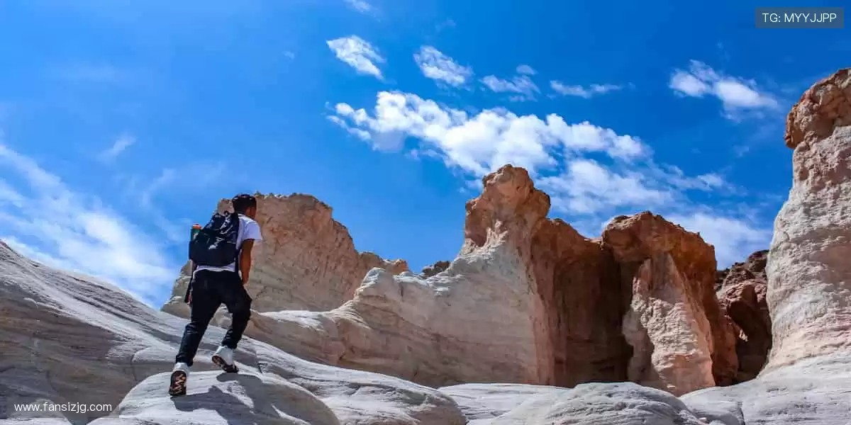 🎮 球迷社区,等你发声!晒周边、聊赛事,结交同好知己!